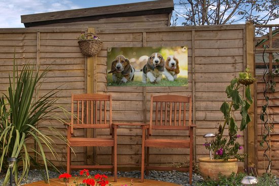 Poster de jardin Les chiots courent dans l'herbe - 60x30 cm - Toile de jardin - Poster extérieur