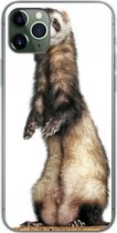 Geschikt voor iPhone 11 Pro Max hoesje - Fret - Dieren - Vacht - Siliconen Telefoonhoesje