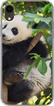 Geschikt voor iPhone XR hoesje - Panda - Dier - Boom - Siliconen Telefoonhoesje