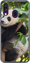 Geschikt voor Samsung Galaxy A40 hoesje - Panda - Dier - Boom - Siliconen Telefoonhoesje