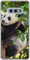 Geschikt voor Samsung Galaxy S10e hoesje - Panda - Dier - Boom - Siliconen Telefoonhoesje