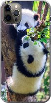 Geschikt voor iPhone 13 Pro Max hoesje - Panda's - Boom - Natuur - Siliconen Telefoonhoesje