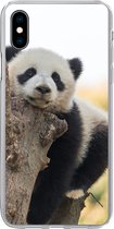 Geschikt voor iPhone Xs Max hoesje - Panda - Boom - Licht - Siliconen Telefoonhoesje