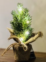 Countryfield - Kerstboompje met LED verlichting L8xB8xH23 cm      (kerstpakket TIP)