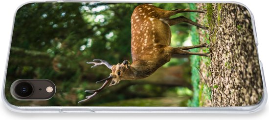 Coque iPhone XR - Cerf - Forêt - Animal - Siliconen - Sinterklaas - Noël - Cadeaux - Cadeaux de chaussures