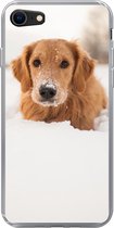 Geschikt voor iPhone SE 2020 hoesje - Hond - Sneeuw - Winter - Siliconen Telefoonhoesje