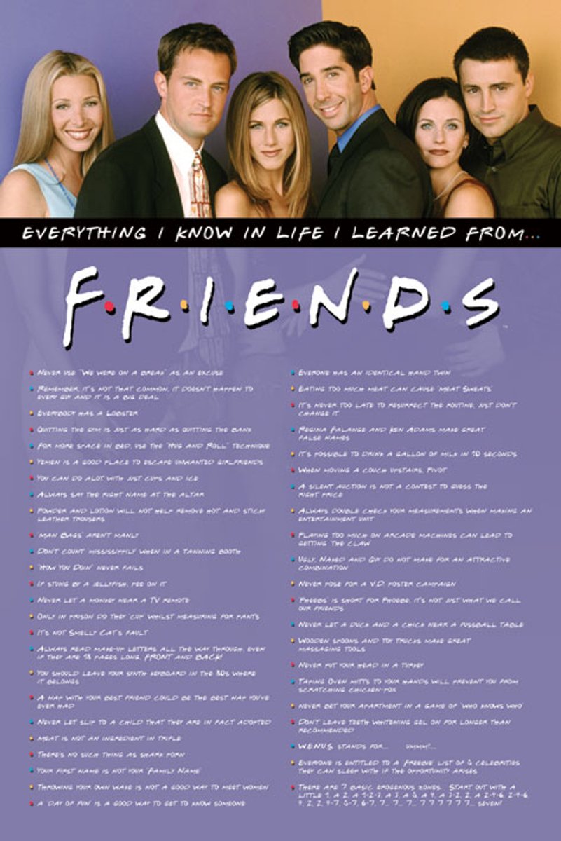 Friends - Everything I Know... Maxi Poster