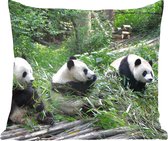 Sierkussen - Panda Natuur Bamboe - Groen - 50 Cm X 50 Cm