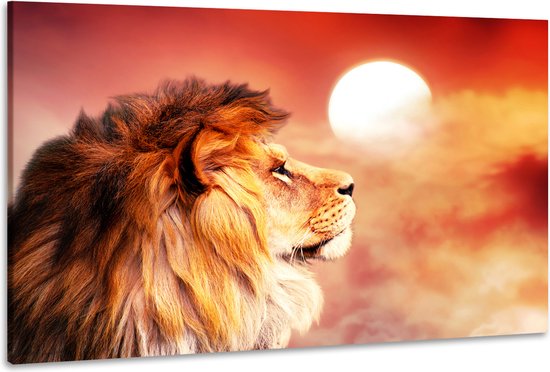 Schilderij -Leeuw oranje/rood, zonsondergang, 2 maten Premium print