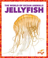 The World of Ocean Animals- Jellyfish