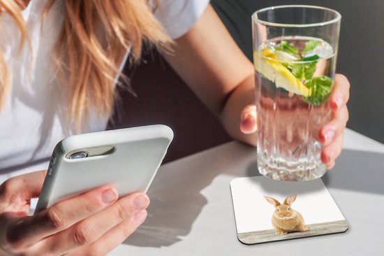 Sous-verres -verres - Chambre de bébé - Lapin - 10x10 cm - 6 pièces