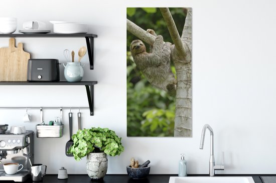 Peinture sur toile Un paresseux s'accroche à une branche - 40x80 cm - Décoration murale Art