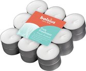 144 stuks Bolsius frisse bries - fresh breeze geurtheelichtjes (4 uur) True Freshness
