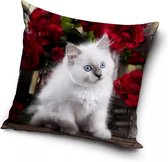 Katten, Kitten met rode Bloemen Sierkussens - Kussen - 40 x 40 inclusief vulling - Kussen van Polyester - KledingDroom®