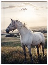 My favourite friends paard zakagenda 2022 - A6 formaat zakagenda - binnenzijde 7 dagen 2 pagina planner - (11x15cm) met paarden, wit design