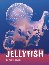 Animals - Jellyfish