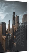 Sears Willis Tower in de kenmerkende skyline van Chicago - Foto op Plexiglas - 60 x 90 cm