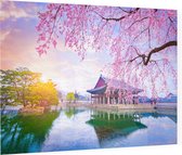 Kersenbloesem bij het paleis van Gyeongbokgung in Seoul - Foto op Plexiglas - 60 x 40 cm