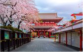 Zicht op de oude Sensoji-ji Tempel van Asakusa in Tokio - Foto op Forex - 120 x 80 cm