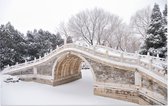 Met sneeuw bedekt bruggetje over Kunming Lake in Beijing - Foto op Forex - 90 x 60 cm