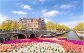 Een kleurrijke lente met tulpenbloemen in Amsterdam - Foto op Forex - 45 x 30 cm