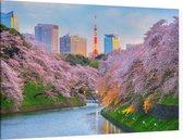 Kersenbloesem in bloei in Chidorigafuchi Park in Tokio - Foto op Canvas - 90 x 60 cm