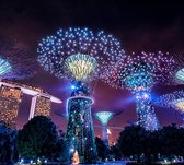 Supertree Grove in Singapore in neon verlichting - Fotobehang (in banen) - 250 x 260 cm