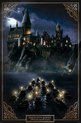 foto van ABYstyle Harry Potter Hogwarts Castle  Poster - 61x91,5cm