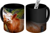 Magische Mok - Foto op Warmte Mokken - Koffiemok - Koeien - Hek - Liefde - Magic Mok - Beker - 350 ML - Theemok