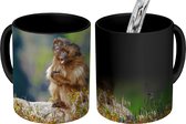 Magische Mok - Foto op Warmte Mokken - Koffiemok - Apen - Planten - Stenen - Familie - Magic Mok - Beker - 350 ML - Theemok
