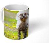 Mok - Koffiemok - Een kleine Maltezer hond half bedekt met modder - Mokken - 350 ML - Beker - Koffiemokken - Theemok