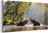 Wanddecoratie Metaal - Aluminium Schilderij Industrieel - Spelende olifanten in de zon - 120x60 cm - Dibond - Foto op aluminium - Industriële muurdecoratie - Voor de woonkamer/slaapkamer