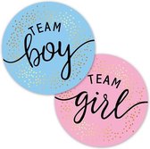 XXL Sluitsticker – Sluitzegel Team Girl / Boy - Rose / Blauw Goud Glitter | Gender Reveal - Envelop | 2 x 10 stuks | Envelop sticker | Cadeau - Gift - Traktatie - Bedankt | Chique