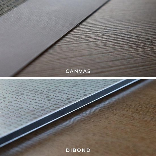 Peinture au Diamond - Carlin comme modèle - Fabriqué aux Nederland - 30 x 40 cm - matière dibond - pierres carrées + stylo de luxe offert d'une valeur de 12,99