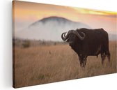Artaza Canvas Schilderij Buffel in het Gras - 100x50 - Groot - Foto Op Canvas - Canvas Print