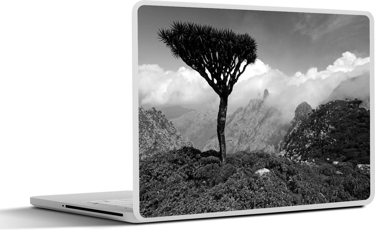 Afbeelding van product SleevesAndCases  Laptop sticker - 15.6 inch - Drakenbloedboom op het eiland Socotra in het Midden-Oosten - zwart wit