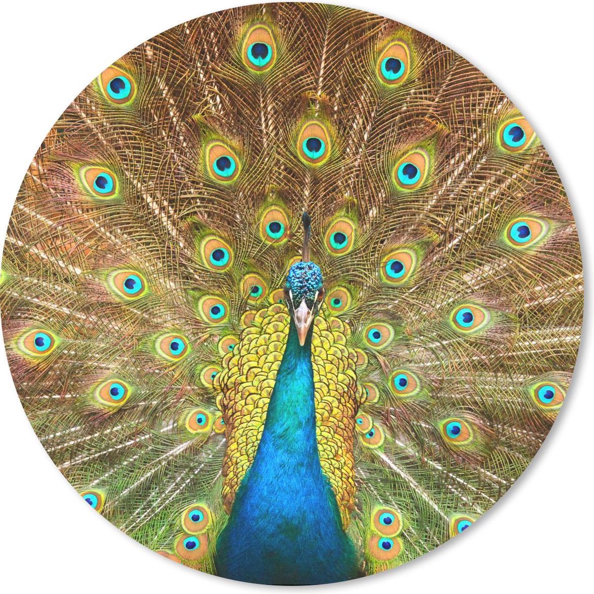 Muismat rond 30x30 cm - Mousepad Pauwenveren - Vogel - Blauw - Ronde muismatten