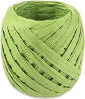 lint 20 meter papier groen