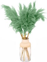 Pampas Pluimen - Droogbloemen - 5 stuks - Mint - Pampas Gras - Fluffy Pluimen - 90cm