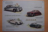 Jaguar wandbord