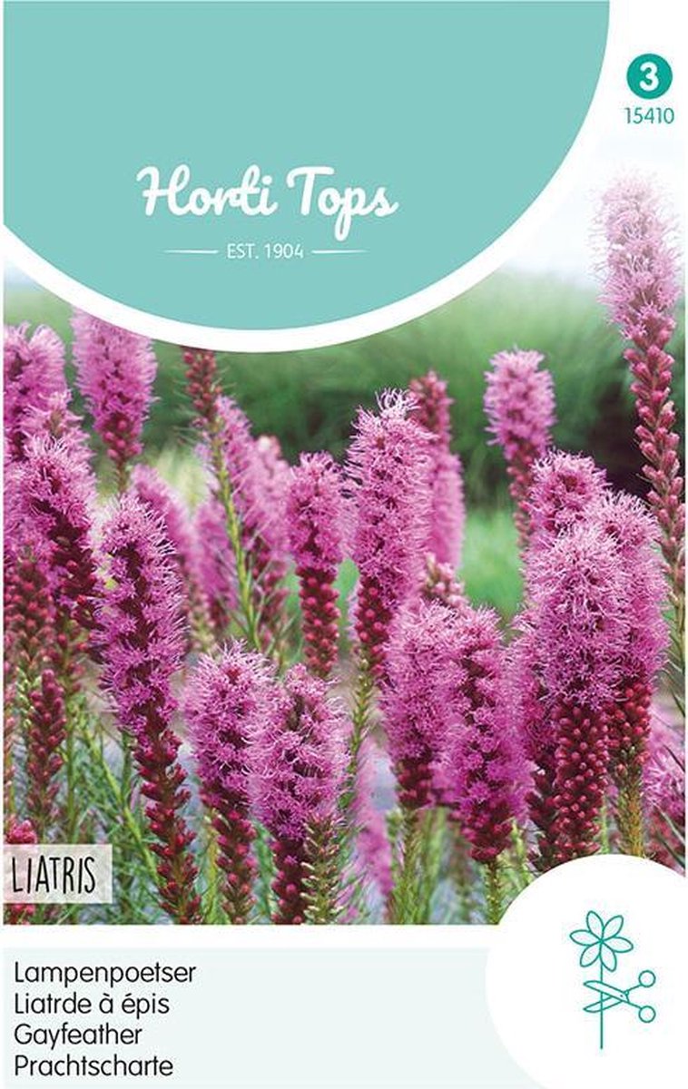 Liatris Bloemzaad - Spicata