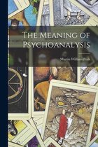 The Meaning of Psychoanalysis