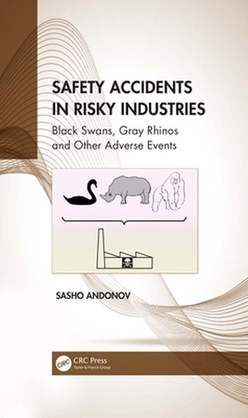 Developments in Quality and Safety - Safety Accidents in Ris ... - cover