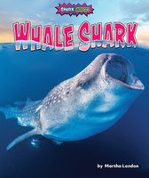 Shark Shock!- Whale Shark