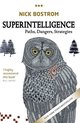 Superintelligence : Paths, Dangers, Strategies