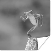 Roodoogmakikikker in Costa Rica in zwart wit poster papier 50x50 cm - Foto print op Poster (wanddecoratie woonkamer / slaapkamer) / Wilde dieren Poster