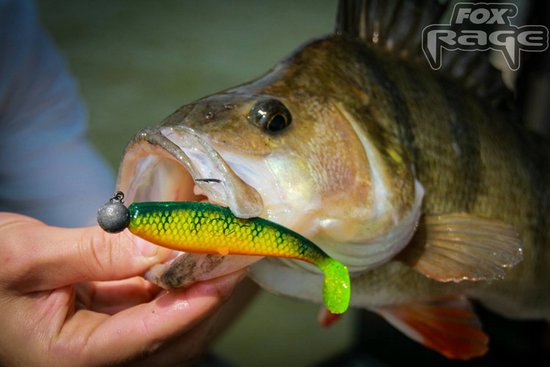 Fox Rage Zander Pro Loaded UV - 10 cm - mixed colour pack van Fox Rage — afbeelding 3