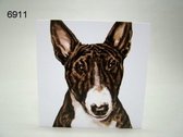 Wenskaart + Envelop Bull Terrier