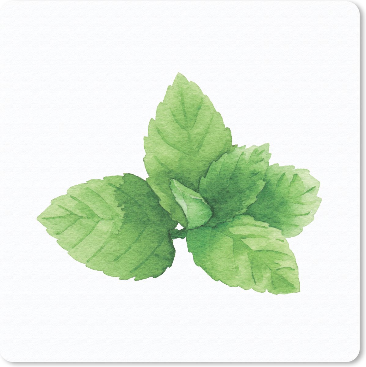 Muismat 30x30 cm - Mousepad Aquarel - Munt - Plant - Muismatten