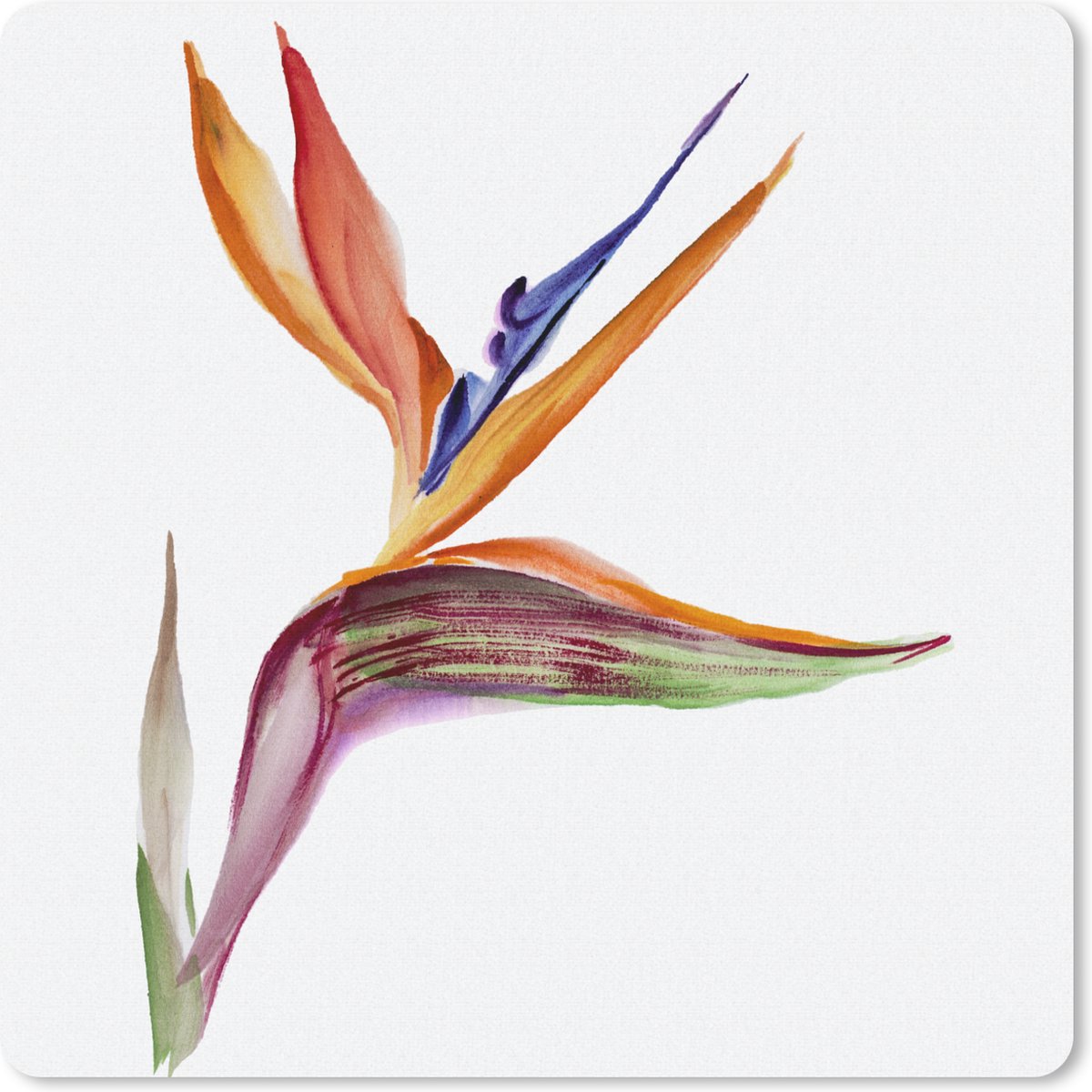 Muismat 30x30 cm - Mousepad Strelitzia - Aquarel - Bloemen - Muismatten